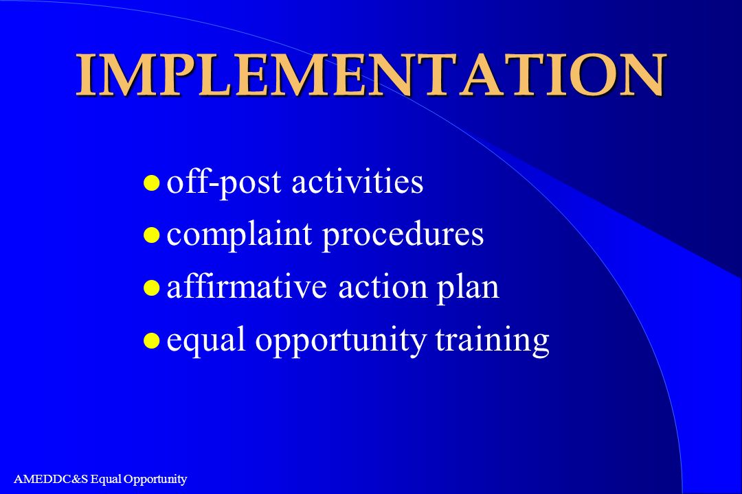 Implement Affirmative Action Policy Essay Sample